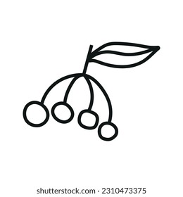 Vector illustration of berry in doodle style. Isolated on white background