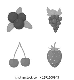 Vector illustration of berry and fruit icon. Set of berry and redberry  vector icon for stock.