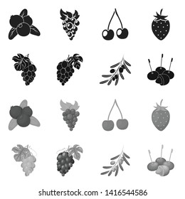 Vector illustration of berry and fruit icon. Collection of berry and redberry  stock symbol for web.