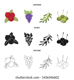 Vector illustration of berry and fruit icon. Collection of berry and redberry vector icon for stock.