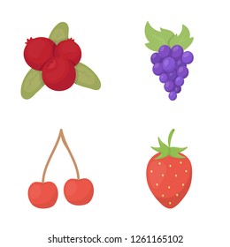 Vector illustration of berry and fruit logo. Collection of berry and redberry  stock vector illustration.