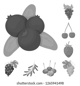 Vector illustration of berry and fruit logo. Set of berry and redberry  stock vector illustration.