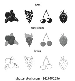 Vector illustration of berry and fruit logo. Collection of berry and redberry  vector icon for stock.
