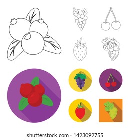 Vector illustration of berry and fruit sign. Collection of berry and redberry  stock vector illustration.
