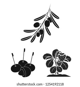 Vector illustration of berry and fruit symbol. Collection of berry and redberry  stock vector illustration.