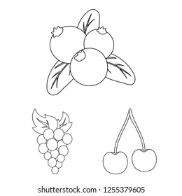 Vector illustration of berry and fruit symbol. Collection of berry and redberry  vector icon for stock.