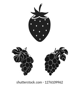 Vector illustration of berry and fruit symbol. Collection of berry and redberry  stock symbol for web.