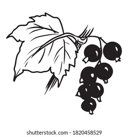 vector illustration of berry graphic design, icon, art tattoo sketch, logo, hand draw, use in print
