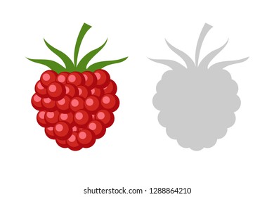 Vector Illustration berry Of raspberries