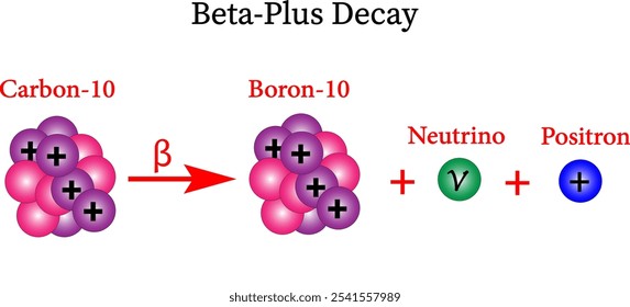 Vector illustration of Beta-Plus Decay