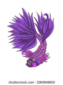 vector illustration of a betta fish. Betta fish abstract illustration. on white background