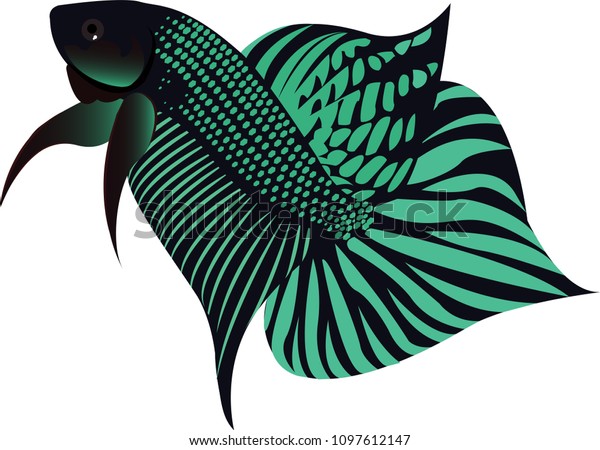 Download Vector Illustration Betta Fish Siamese Fighting Stock Vector Royalty Free 1097612147