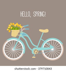 Vector illustration with bicycle and tulips in flat style. Text hello spring. Design for birthday or wedding card