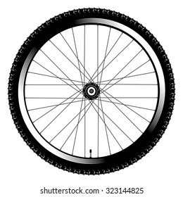 vector illustration bicycle wheel on a white background / bicycle wheel