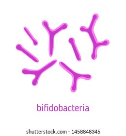 Vector illustration of bifidobacteria. Isolated on white background. Design element for medical posters, brochures, articles, websites etc.