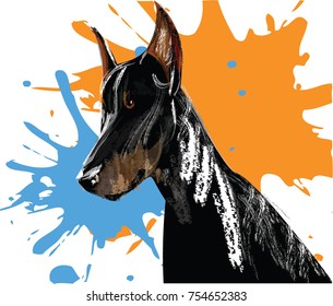 Vector illustration of a big black dobermann