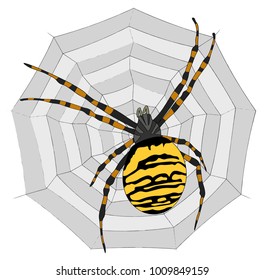 Vector illustration - Big black and yellow scary spider sitting on his web 