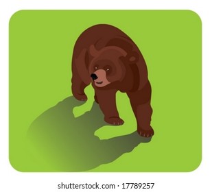 Vector illustration of big brown bear
