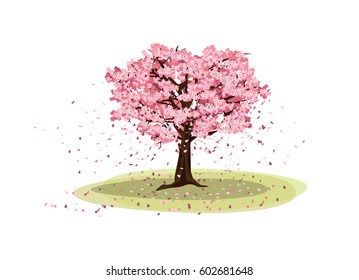 Vector Illustration: Big Cherry tree filled with flowers Sakura and breeze blow fall the spring annual season of Japanese isolated on white background.