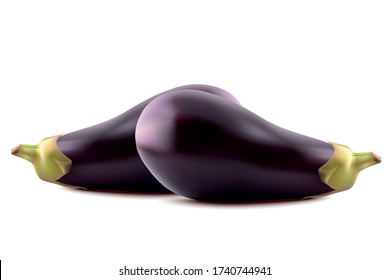 Ilustración vectorial de una gran berenjena fresca y realista, o cuña de guinea aislada sobre fondo blanco.
