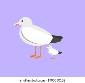 vector illustration big mother seagull and little seagull, seabird on a plain background in flat style