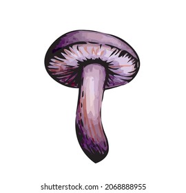 Vector illustration. Big mushroom. Drawing in watercolor technique. Lilac toadstools. Image for culinary items and books.