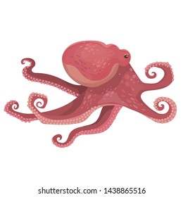 Vector illustration of big octopus swimming isolated