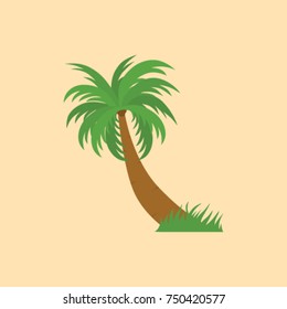 vector illustration of big palm tree. can use for any design nature or tropic topic, flat design, icon tree, palm tree for background