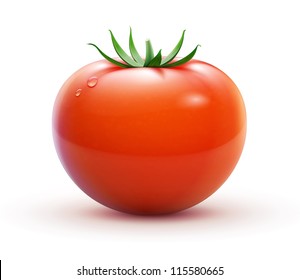 Vector illustration of big ripe red fresh tomato  isolated on white background