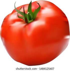 Vector illustration of big ripe red fresh tomato. Photo-realistic vector tomato on transparent background. Design for menus, games and applications.