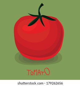 Vector illustration of big ripe red fresh tomato isolated on green background