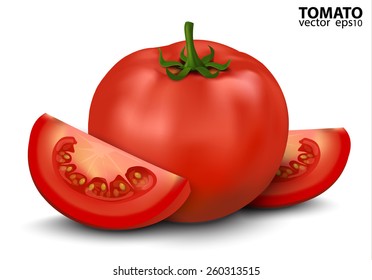 Vector illustration of big ripe red fresh Tomato and slices isolated on white background