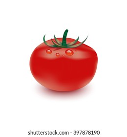 Vector illustration of big ripe red fresh tomato isolated on white background