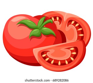 Vector illustration of big ripe red fresh tomato isolated on white background Web site page and mobile app design Detailed vegetarian food sketch.