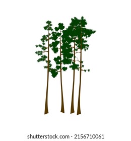 Vector illustration of Big Sequoia Tree
