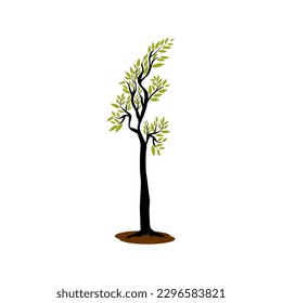 Vector illustration of Big Sequoia Tree