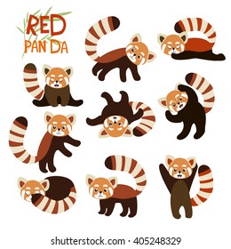 vector illustration. big set of cute red pandas.