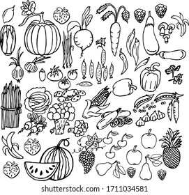 Vector illustration. Big set of vegetables and fruits.