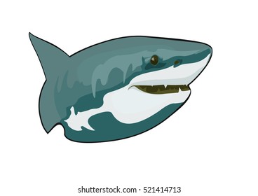 Vector illustration. Big shark isolated on background.