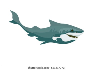 Vector illustration. Big shark isolated on background.