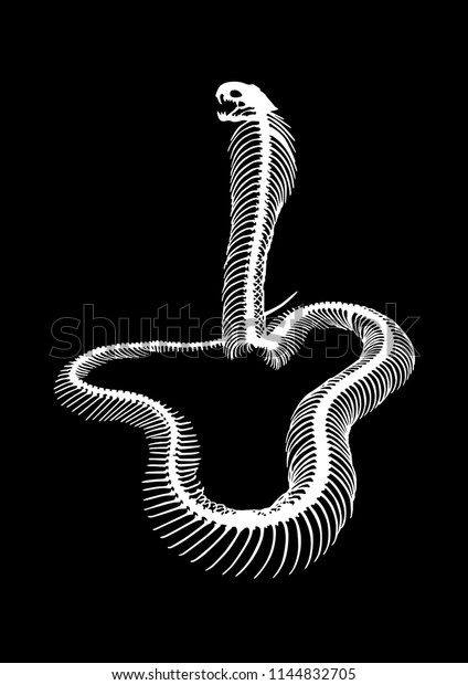 Vector Illustration Big Snake Skeleton Silhouette Stock Vector (Royalty