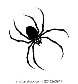 vector illustration of big spider