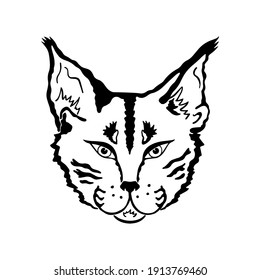 Vector illustration of a big wild cat head. Lynx head line drawing on white background isolated. Logo, icon, concept, tattoo.