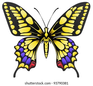 vector illustration of big yellow  butterfly isolated on white