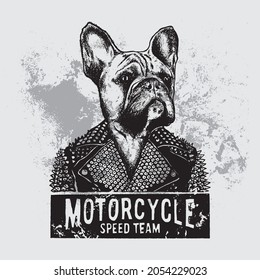 Vector illustration of biker dog. Speed team.