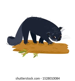 Vector illustration of a binturong. Bear cat. svg