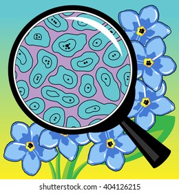 Vector illustration biological cells of flower a petal watch through a magnifier