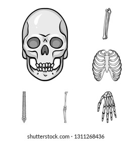 Vector illustration of biology and medical icon. Collection of biology and skeleton stock vector illustration.