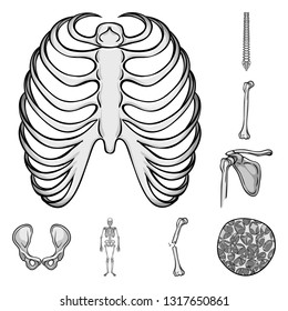 Vector illustration of biology and medical icon. Collection of biology and skeleton stock vector illustration.