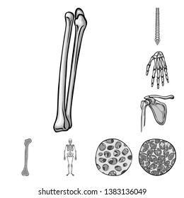 Vector illustration of biology and medical icon. Collection of biology and skeleton stock vector illustration.